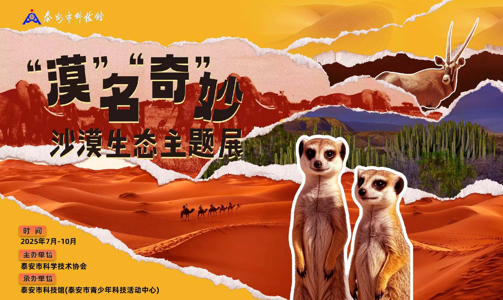 微信图片_2025-07-04_202501_395.jpg
