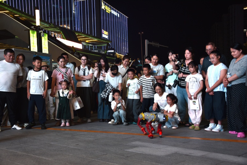 DSC_1656.JPG